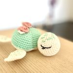 Sörel-tortue